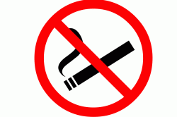 Запрет курения перед УЗИ кишечника
