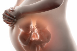 4D УЗИ при многоплодной беременности